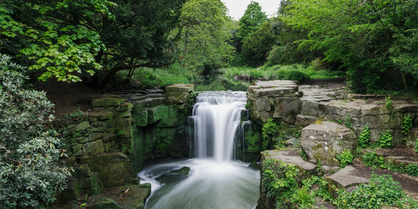 A picturesque waterfall surrounded by a vibrant, verdant forest.
