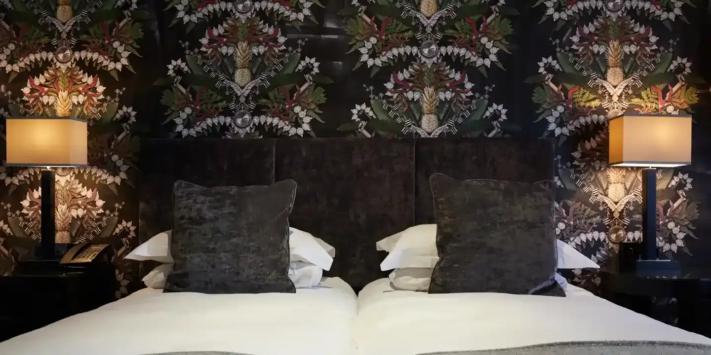 Bed with two pillows and two lamps.